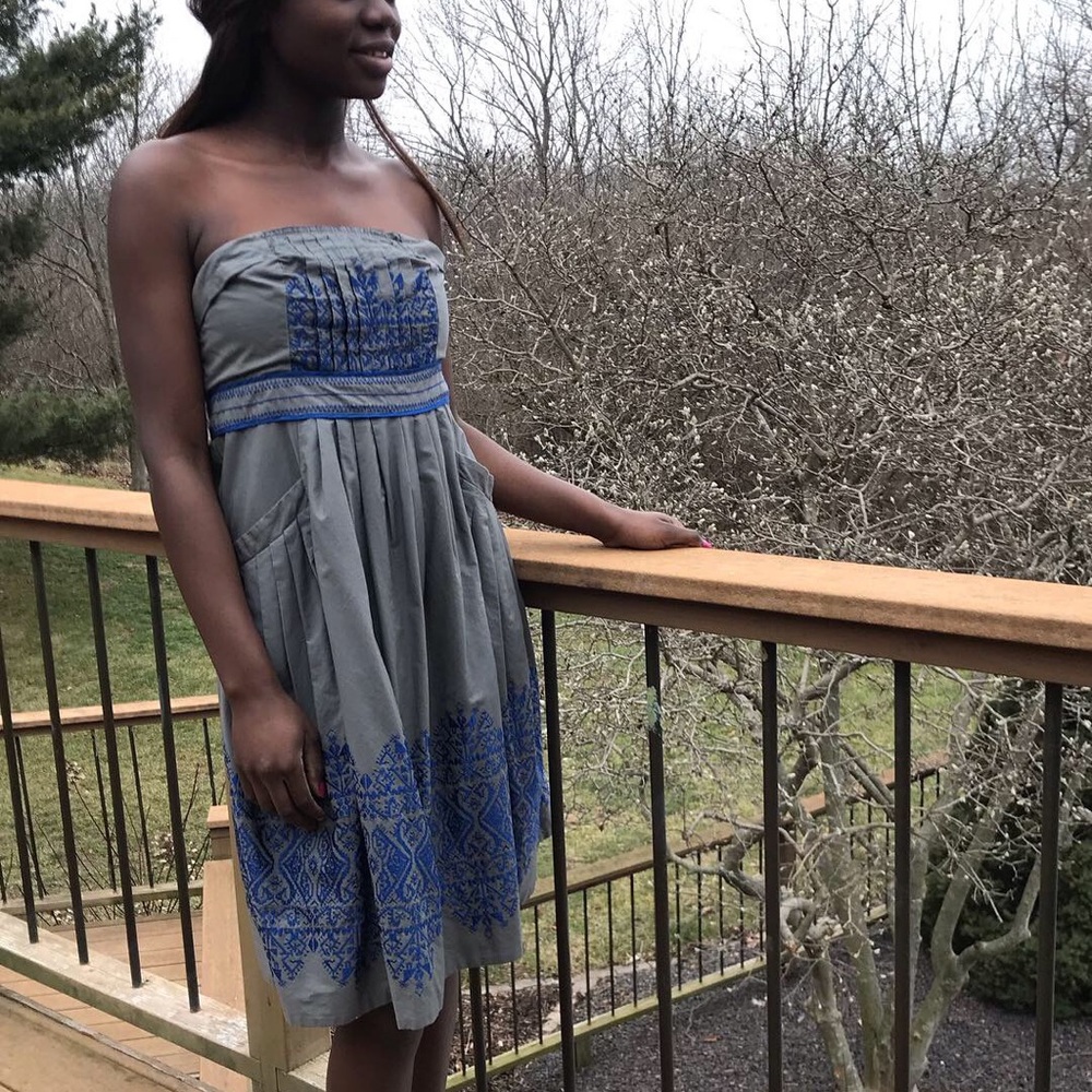 Anthropologie strapless embroidered dress